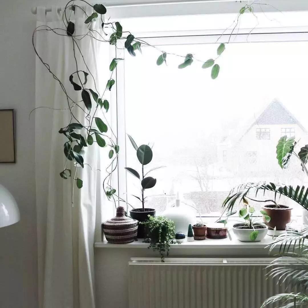 1508828529869118.jpg 1.jpg