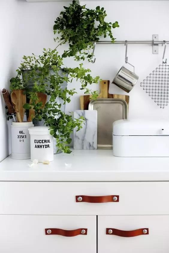 1515824180619737.jpg 2.jpg